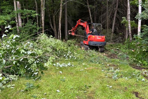 Travaux de déboisement